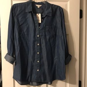 NWT terra & sky chambray button down shirt